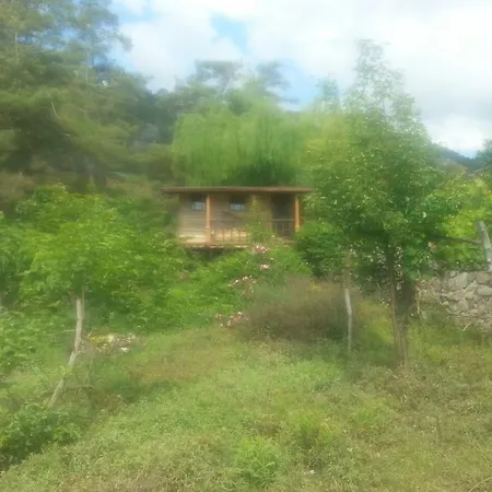 乡村民宿 Serender Konaklama