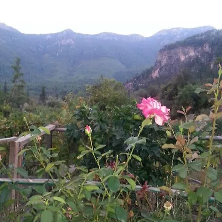 Serender Konaklama 乡村民宿 *