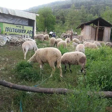 乡村民宿 Serender Konaklama