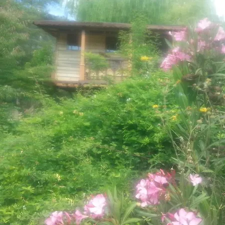 Serender Konaklama 乡村民宿